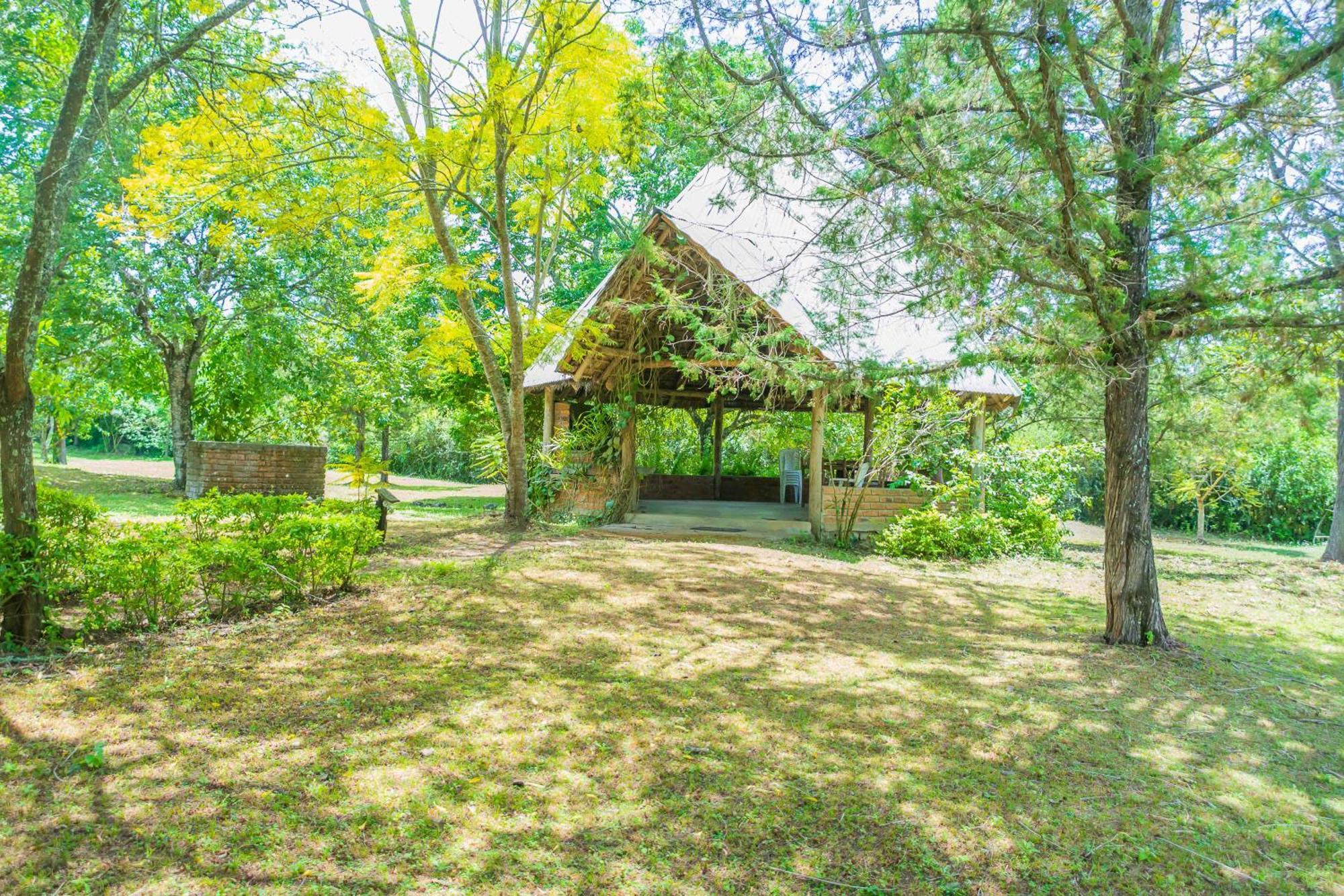 Meru Mbega Lodge Usa River 외부 사진