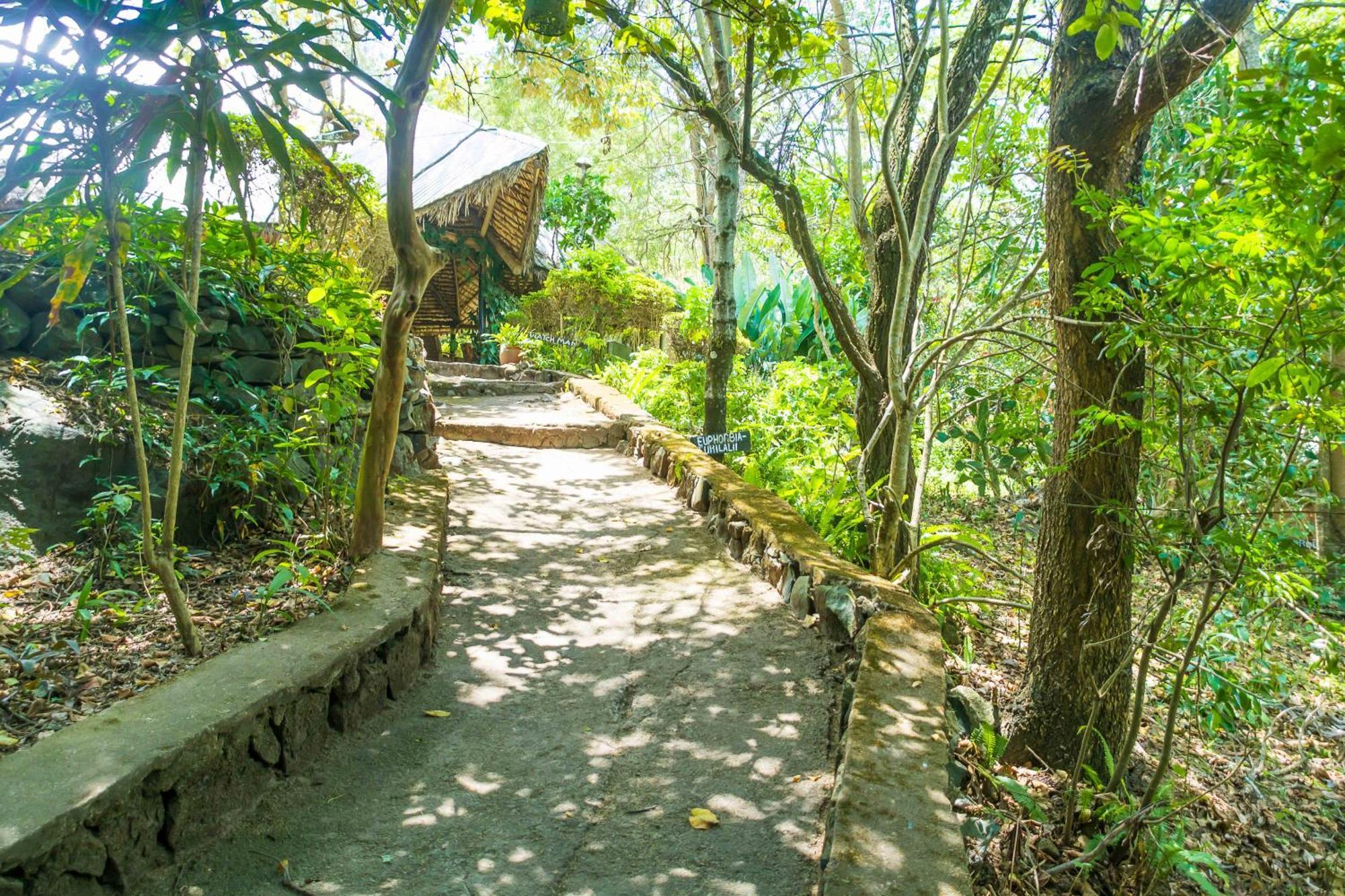 Meru Mbega Lodge Usa River 외부 사진