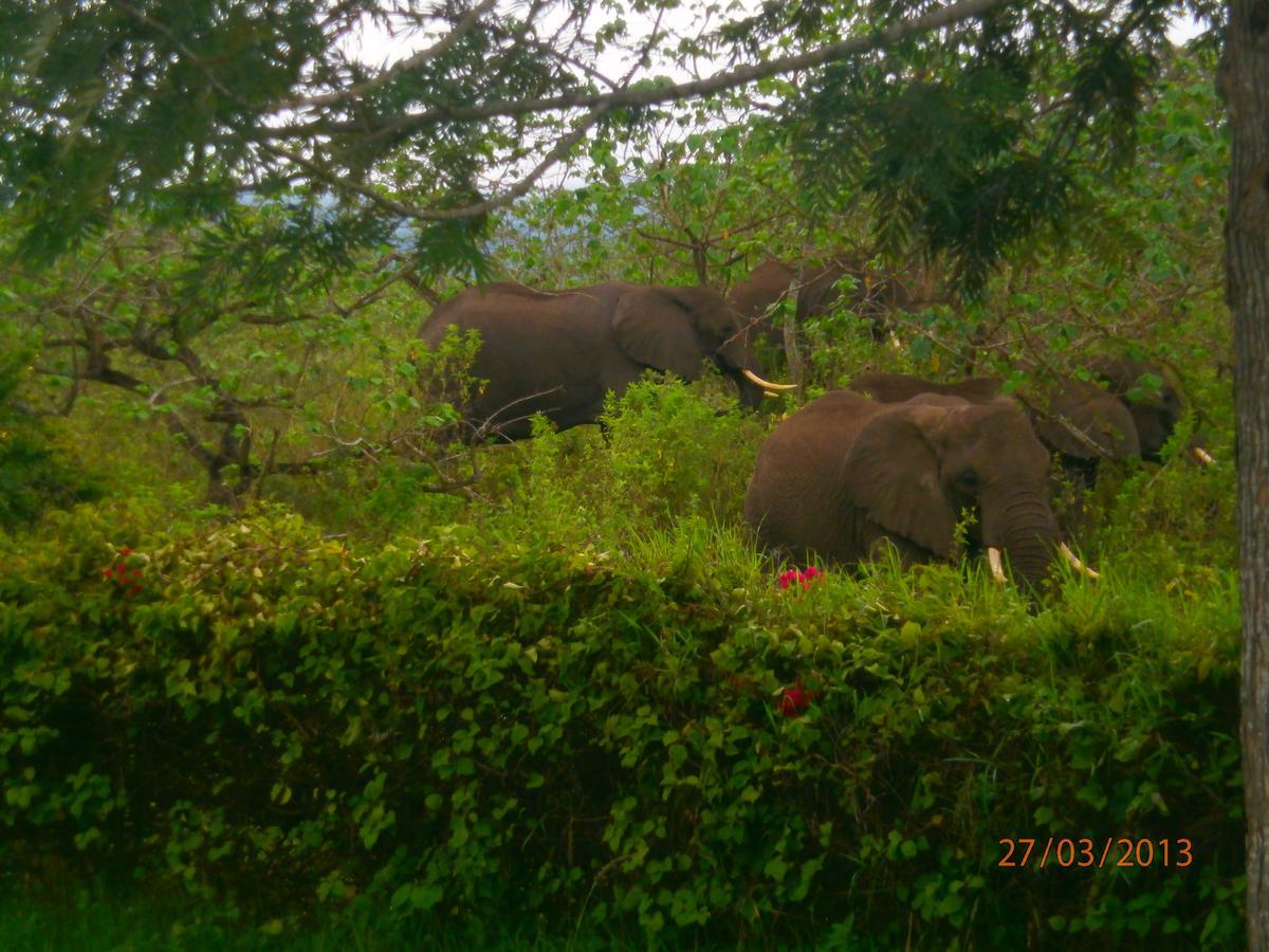 Meru Mbega Lodge Usa River 외부 사진