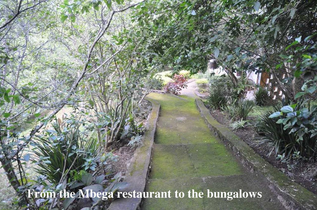 Meru Mbega Lodge Usa River 외부 사진